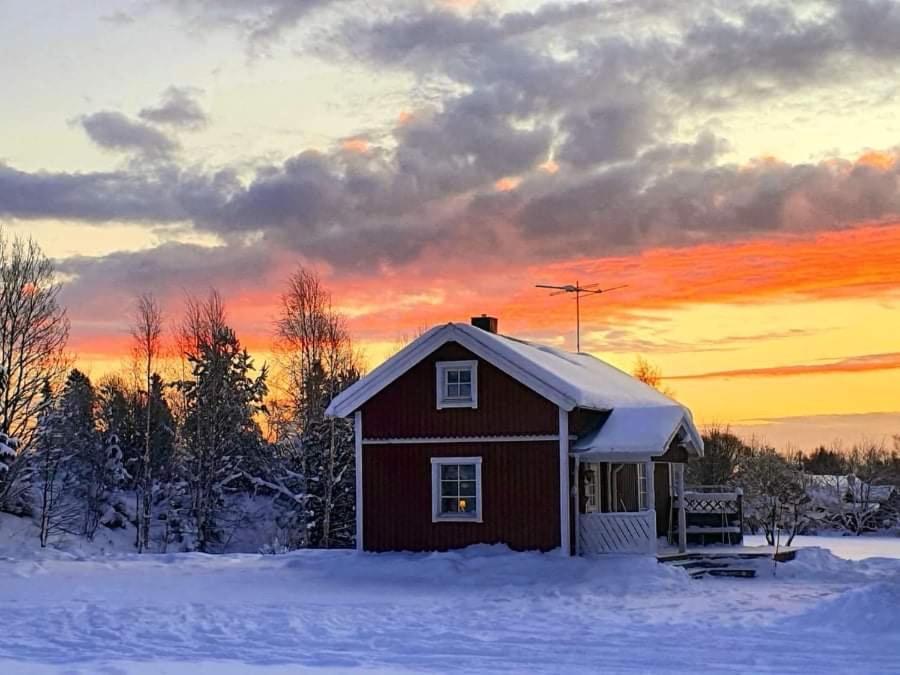 Guesthouse Ojebyn Exteriér fotografie